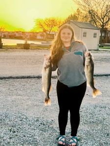 Golden Walleye pair!