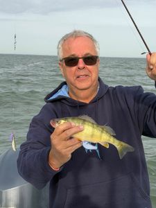 Get outside and enjoy fishing in Oregon, OH.
