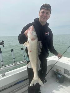 Walleye Moments In Ohio