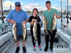 Lake Erie's Walleye Bounty