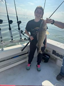 Lake Erie's Walleye Beauty