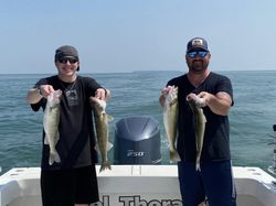 Premier Walleye Fishing In Lake Erie, OH