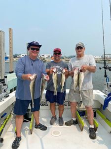 Walleye Catch of Day