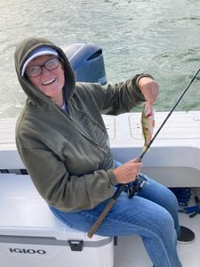 One angler fishing in Oregon