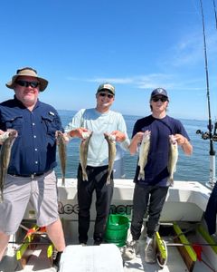 Lake Erie: My fishing sanctuary! 