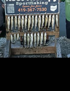 8 bluefish caught while fishing in OH