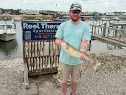 Successful walleye fishing trip in Oregon OH with multiple fish displayed on cleaning board and large walleye being held