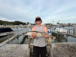 Walleye fishing catch displayed at marina dock in Oregon OH