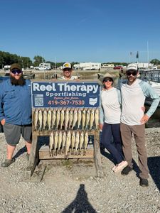 Successful walleye fishing trip display at Oregon OH marina with multiple fish caught