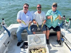 Two European perch caught fishing in Oregon