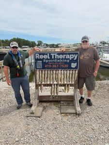 Fresh caught walleye displayed on wooden fish cleaning station at Oregon OH marina