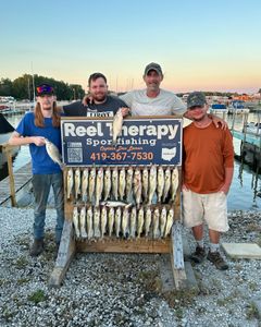 A single white bass fish caught in OH