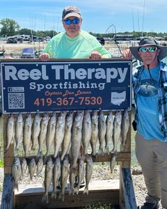 Wiper (Hybrid striped bass) fish caught in OH