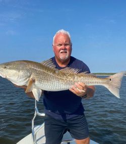Massive Redfish catch on the flats! 🎣 | Inshore fishing charter success
