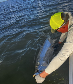 Fishing in Florida with great catch