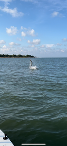 Peaceful fishing scene in Apalachicola