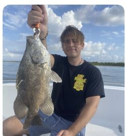 Tripletail fish caught by two people in Apalachicola