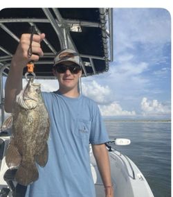 Tripletail fish caught while fishing in FL