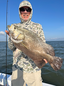 Tripletail fish caught fishing in FL