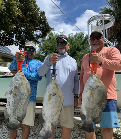 Three tripletail fish caught in FL