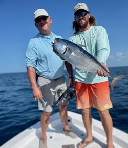 Big Pine Keys waters are full of surprises