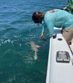 A scenic view of Big Pine Key, Florida