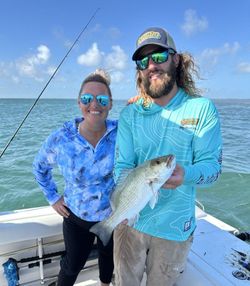 Grey Snapper fish caught on fishing trip at Big Pine Key