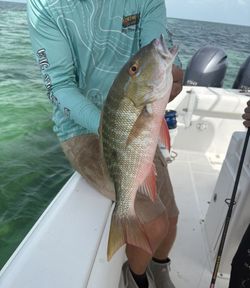 Mutton Snapper fishing at Big Pine Key