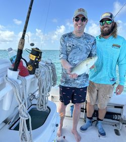 Two anglers fishing in Florida