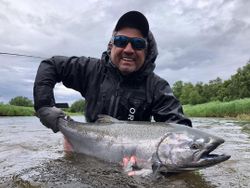 Coho salmon caught while fishing in Carson City