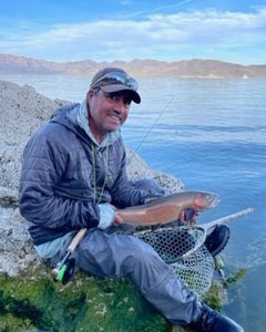 Angler fishing in Carson City