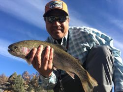 Photograph of a fisherman catching a rainbow trout in NV