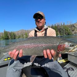 One rainbow trout caught while fishing in NV