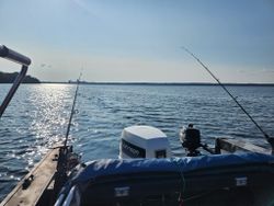 Scenic landscape with fishing and hunting in ON