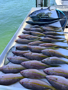 Great barracuda and yellowfin tuna haul from Islamorada waters!