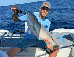 One person fishing in Florida