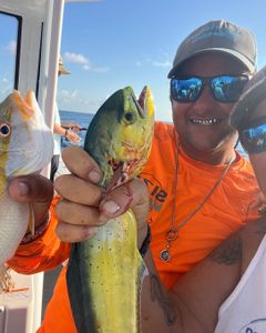 Two fishermen catching fish in Islamorada