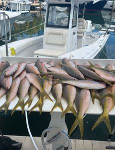 9 fish caught on a fishing trip in Islamorada