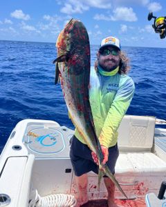 1 fisherman fishing in FL
