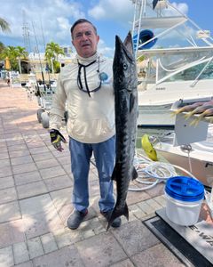 An angler with a large great barracuda fish in FL