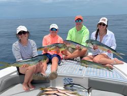 6 big fish caught while fishing in FL
