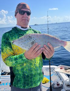 A lone angler fishing in Florida