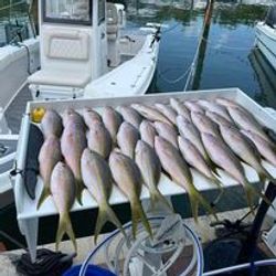 Three fishing rods with line in the water at FL