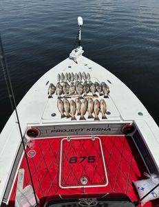 Fishing in LA