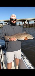Redfish caught in LA while fishing