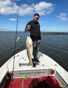 Redfish caught in LA