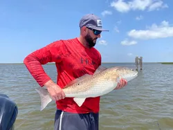 Redfish caught in New Orleans, Louisiana