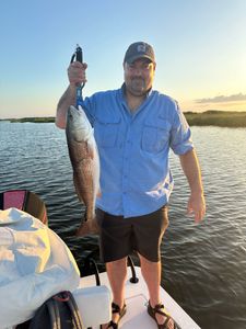 Redfish caught in New Orleans