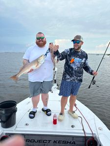 Redfish caught in New Orleans, Louisiana during fishing