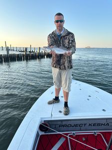 Spotted weakfish caught during a fishing trip in New Orleans